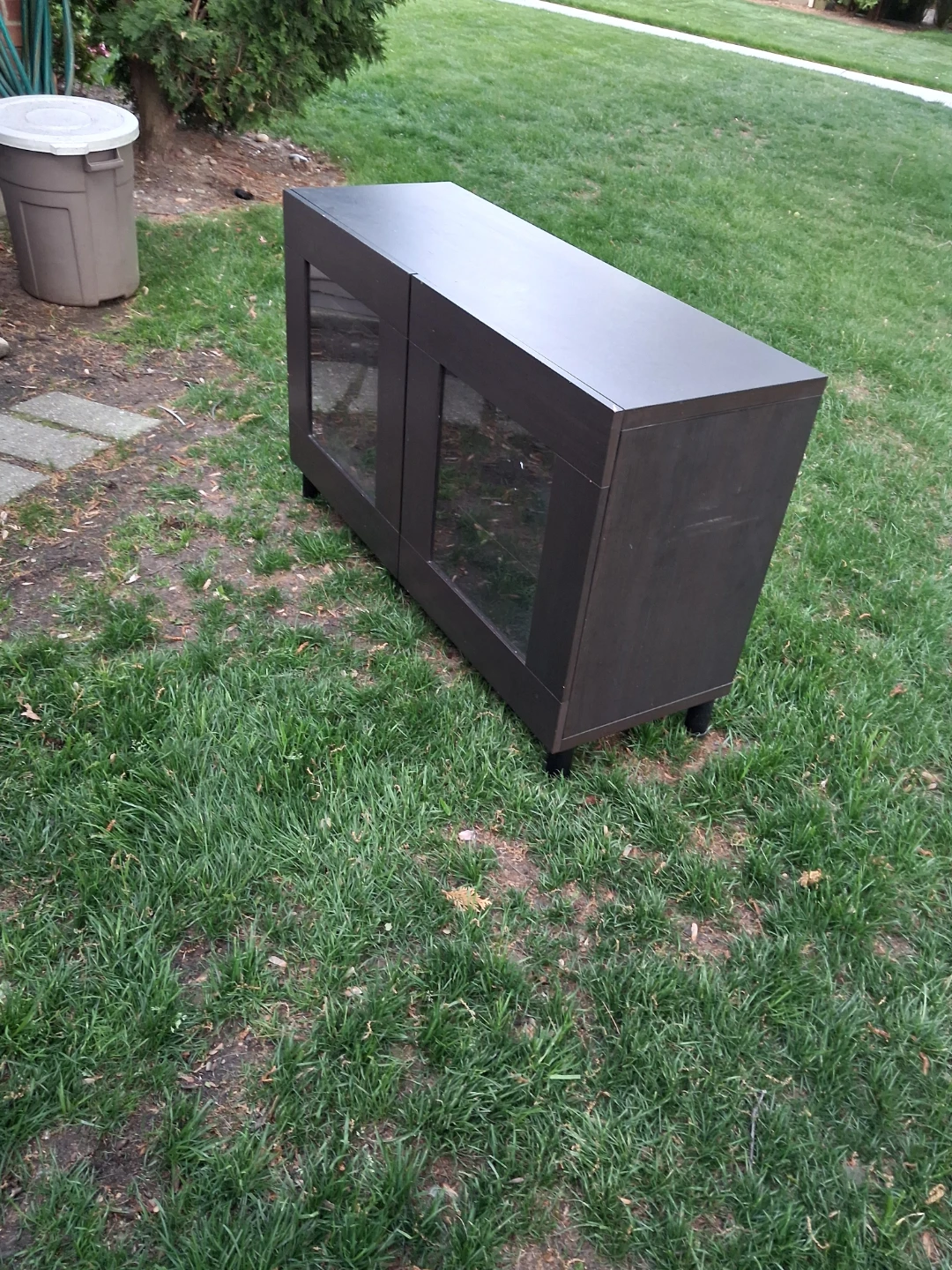 Dark Wood 2-Door Cabinet with Glass Doors - photo 2