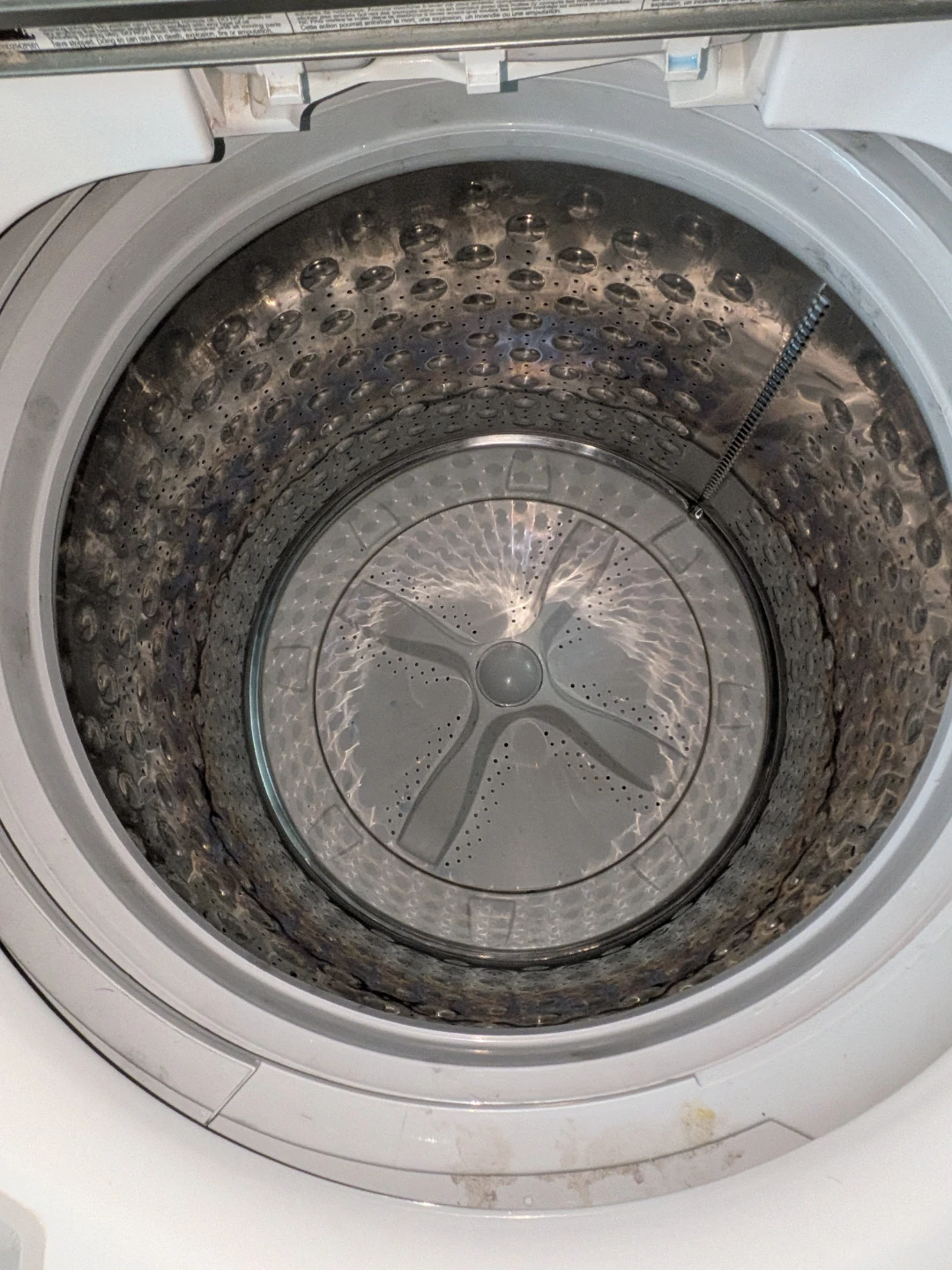 White Washer - photo 3