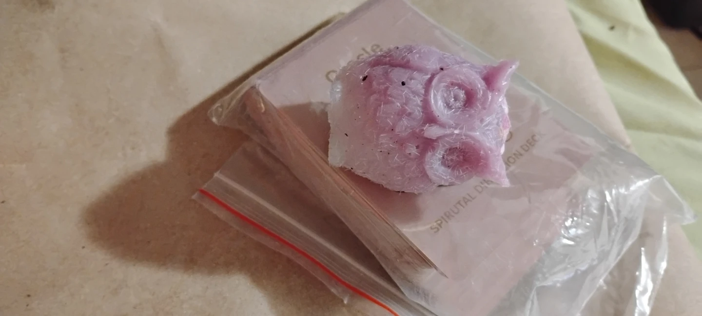 Purple Owl Squishy
