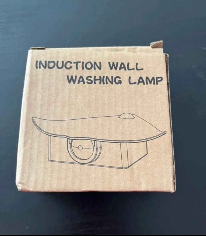 Induction Wall Washing Lamp - photo 2