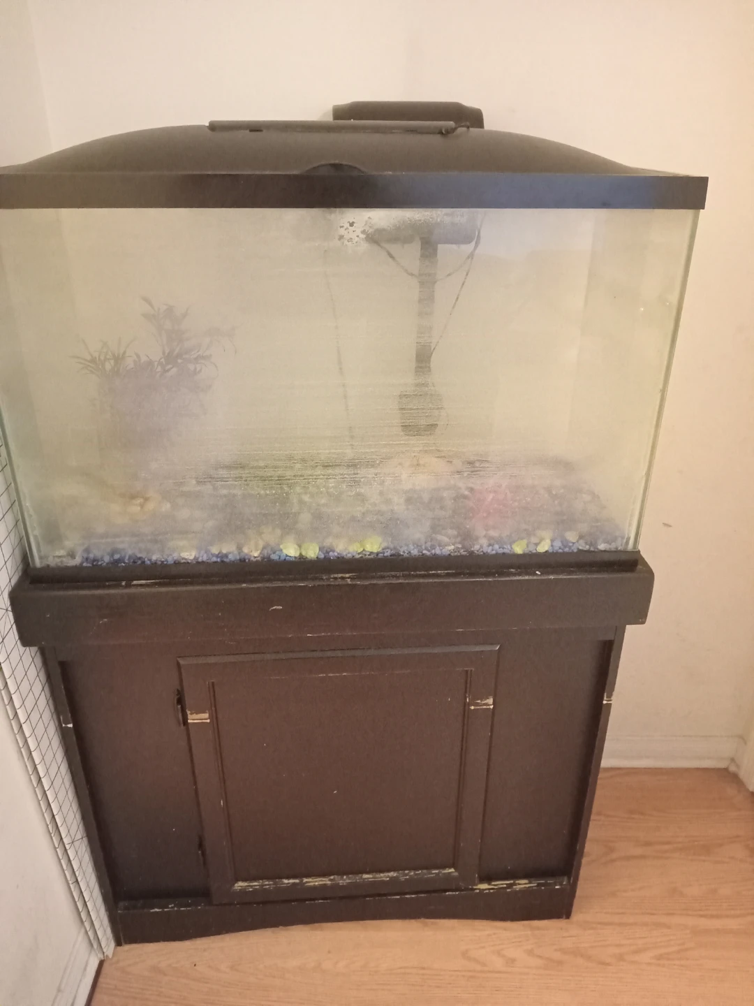 Fish Tank with Cabinet Stand