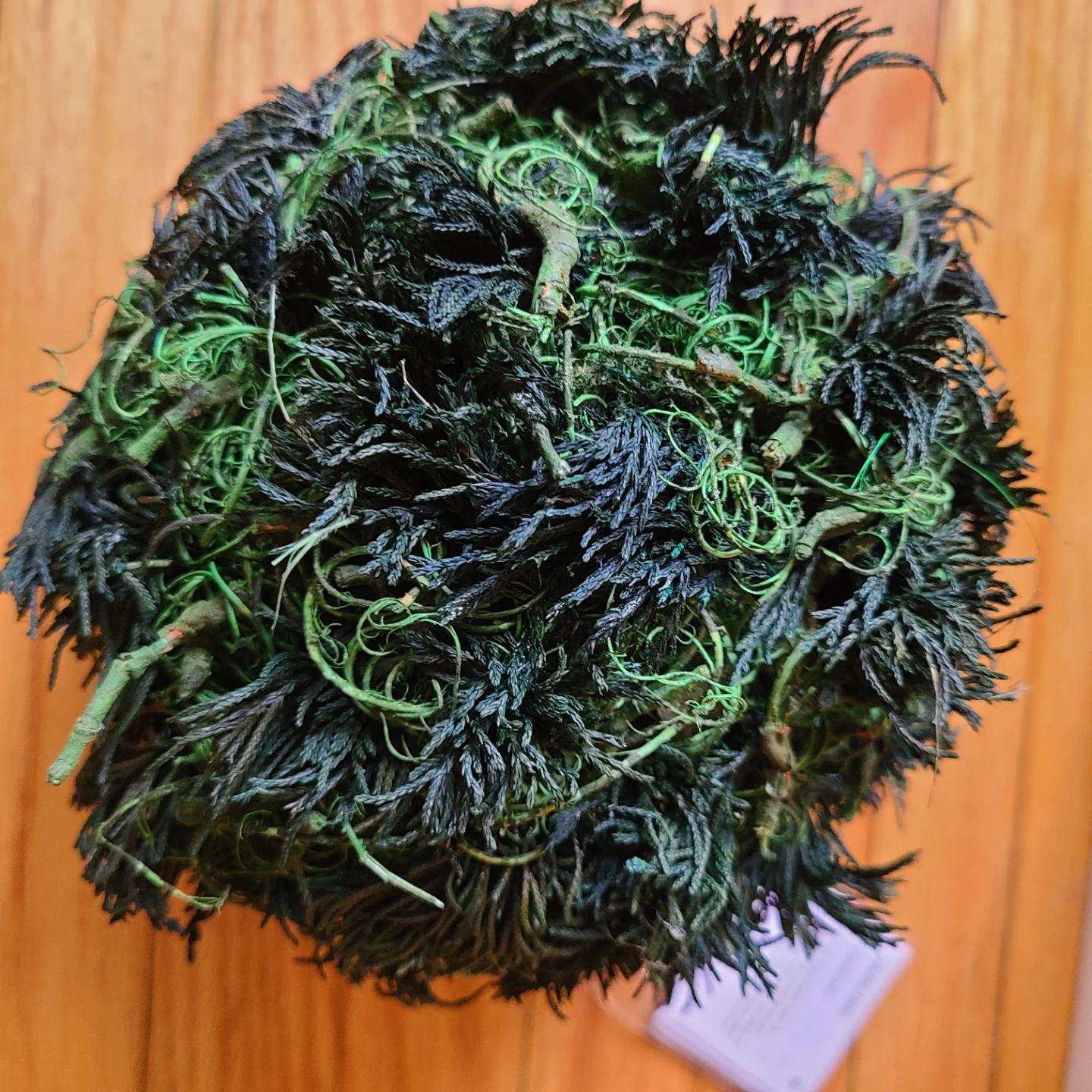 IKEA VINTER Decorative Moss Balls (16) for $100! - photo 3