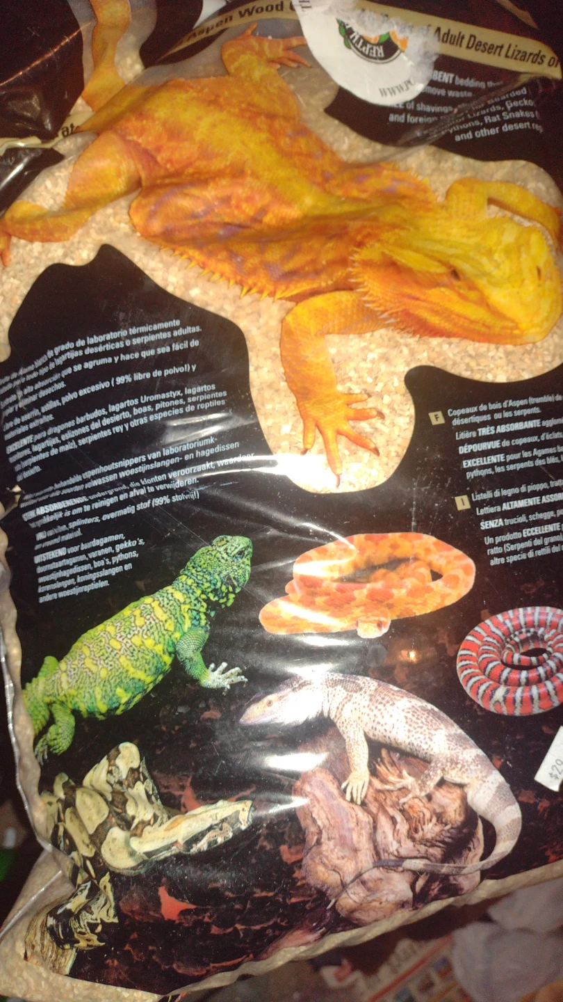 Zoo Med Aspen Wood Adult Desert Lizard Bedding - 24 Dry Quarts - photo 2