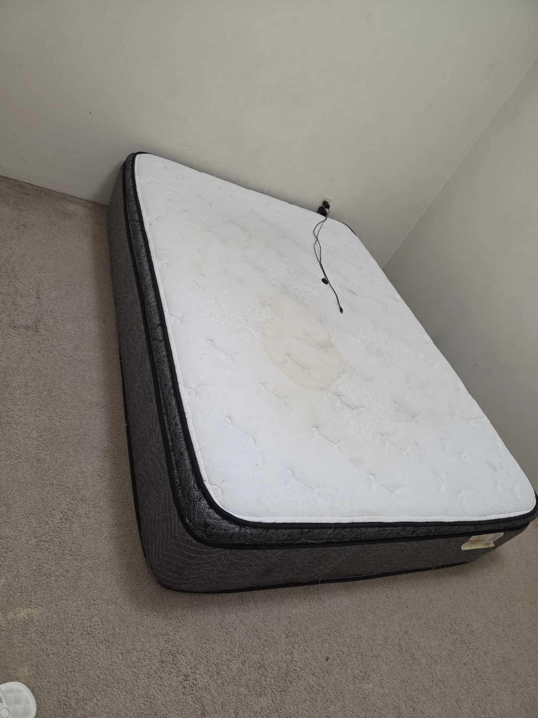 Chiro Comfort Nelson Mattress - photo 4