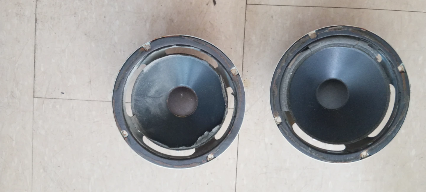 Two Speaker Drivers PL9D2 4DR51730 - photo 3