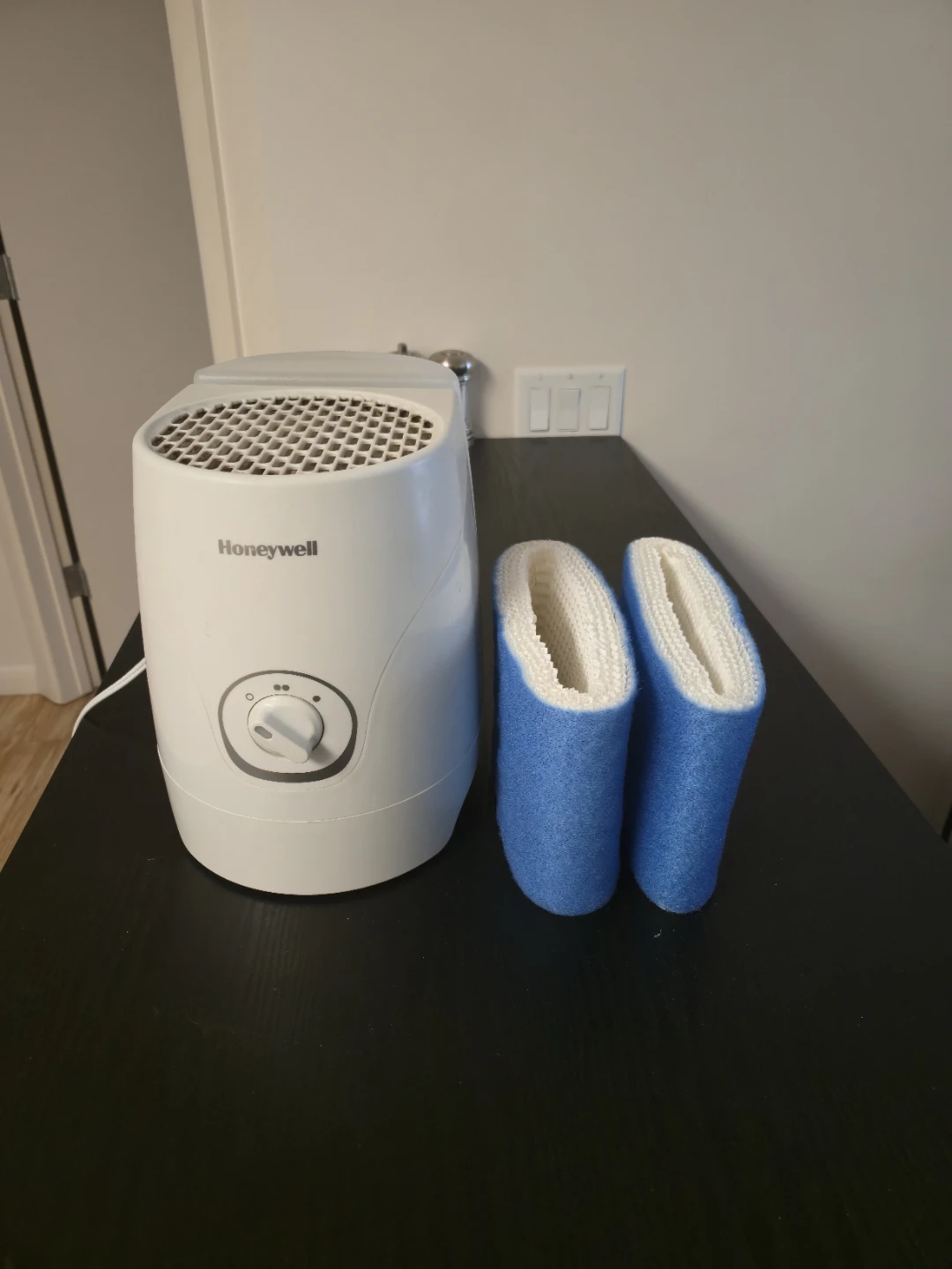 Honeywell Cool Mist Humidifier with Filters