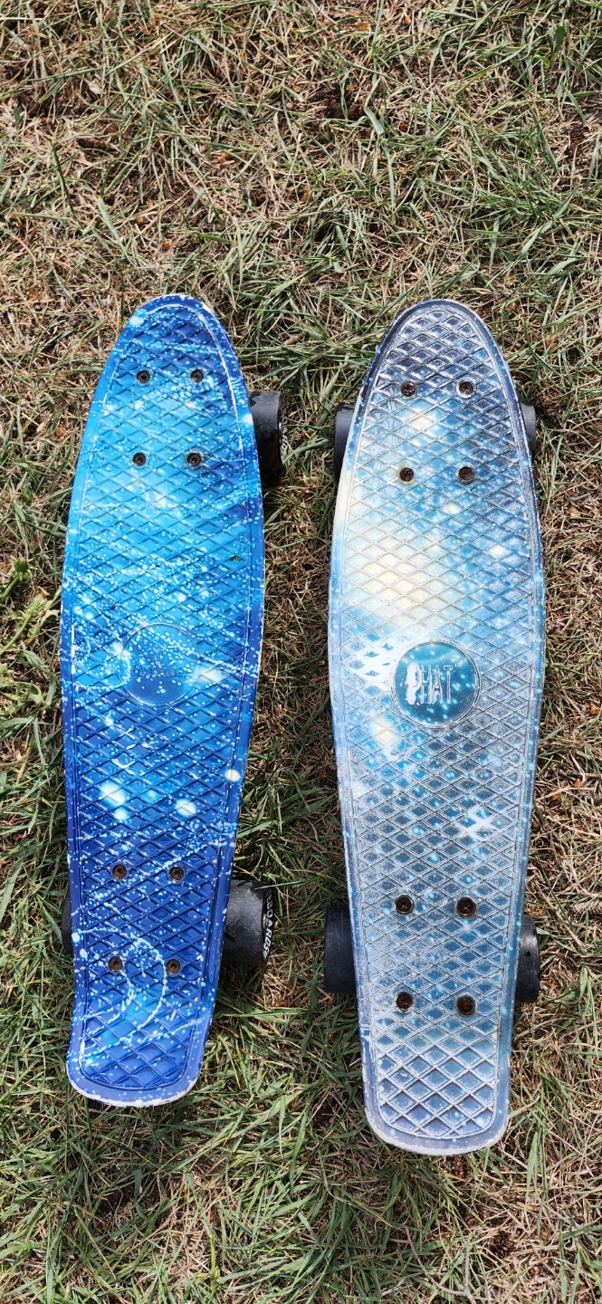 Penny Board Style Skateboards (2)