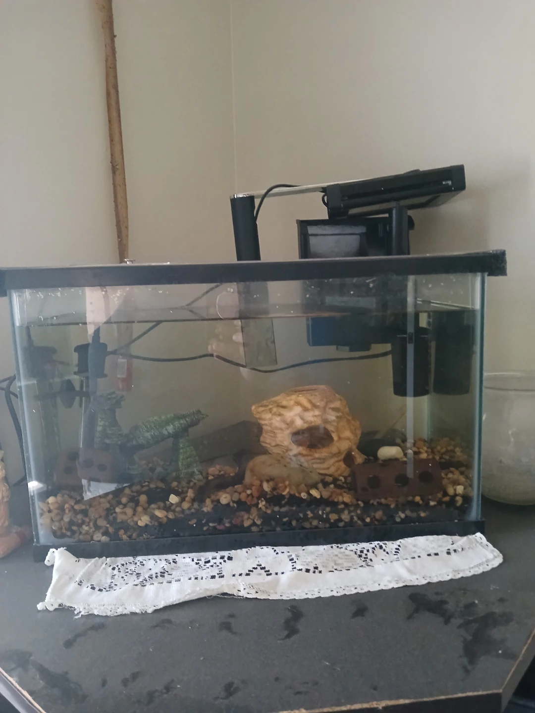 5 gallon Aquarium with Filter and Decorations