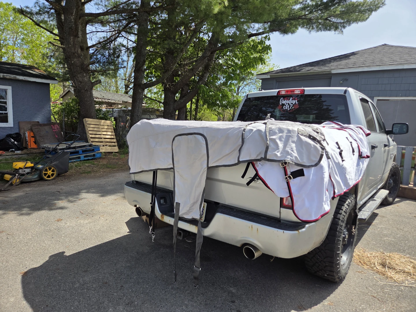 WeatherBeeta Freestyle Horse Fly Sheets $60 each - photo 3