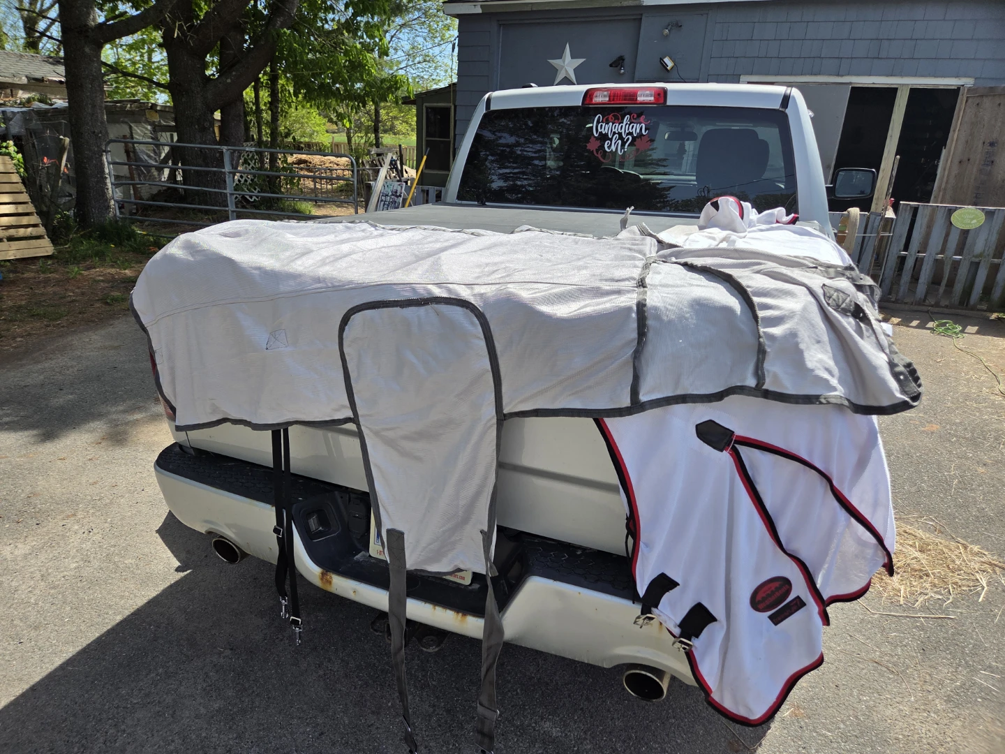 WeatherBeeta Freestyle Horse Fly Sheets $60 each - photo 4