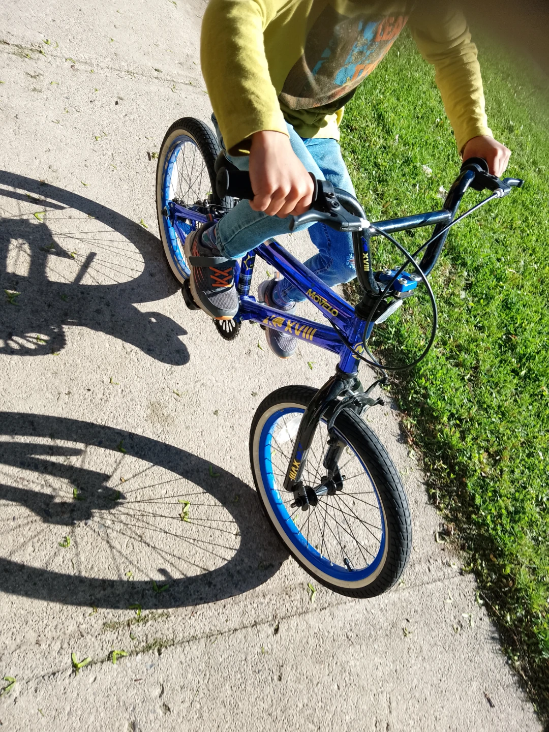 Movelo BMX Bike - Blue - photo 3