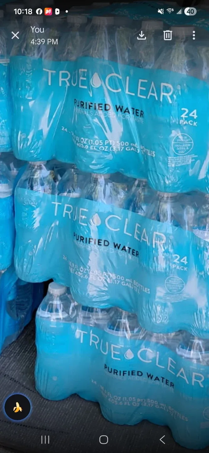 True Clear Purified Water Bottles - 24 Pack