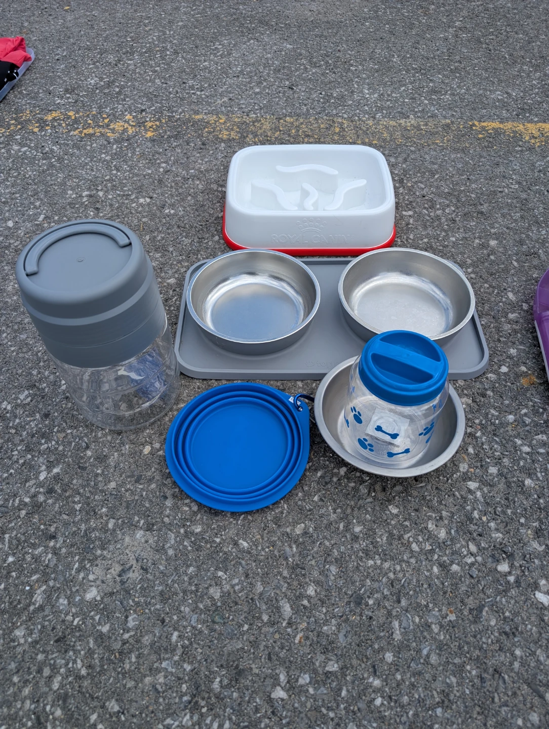 Lot of dog dishes