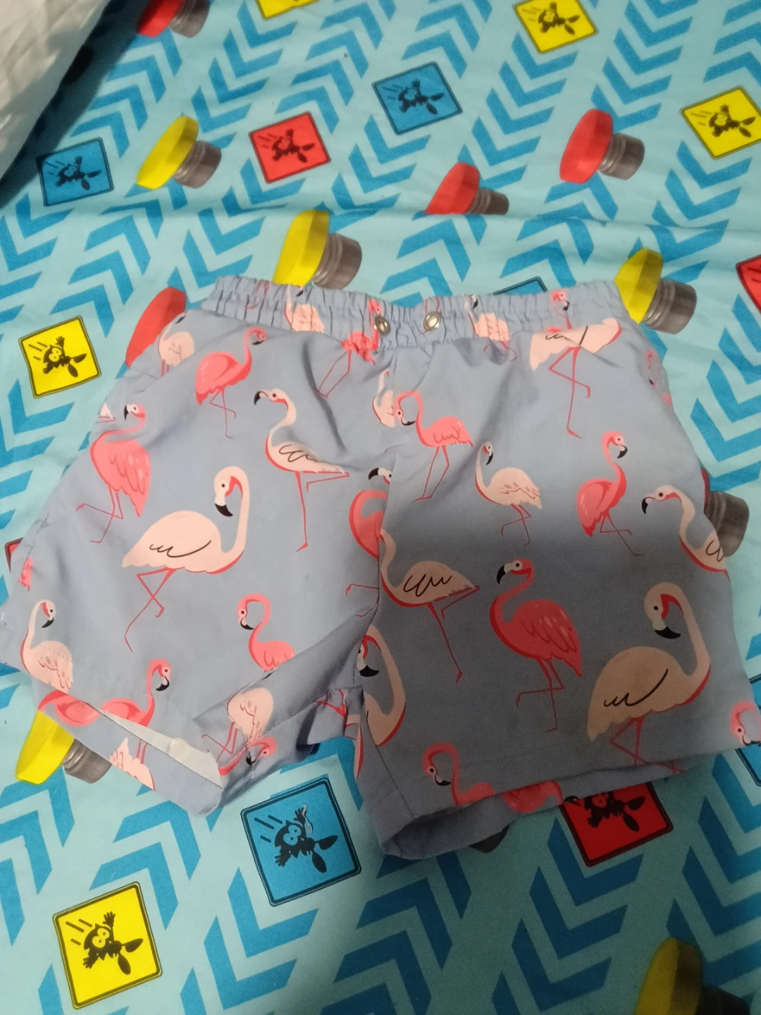 Men's Flamingo Print Swim Trunks