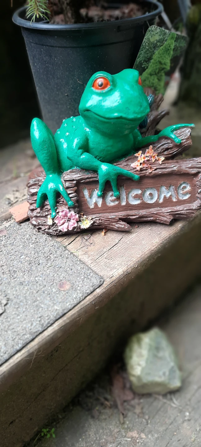 Green Frog Welcome Sign Garden Decoration