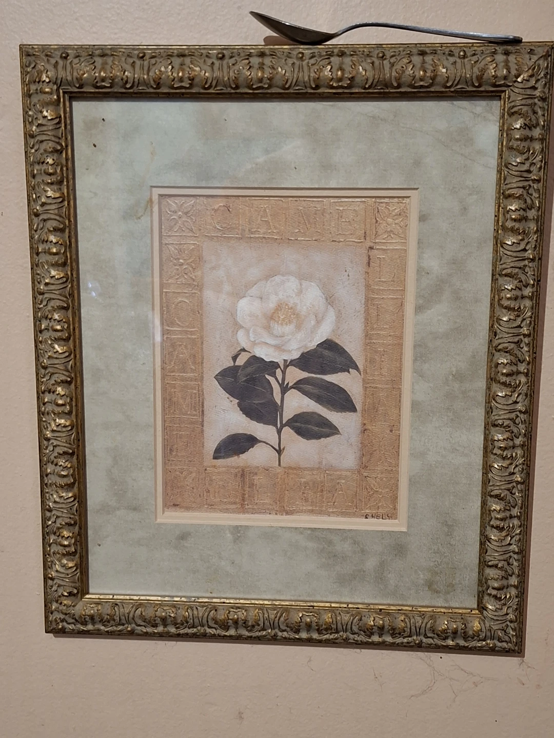 Set of 5 Framed Landscape Print