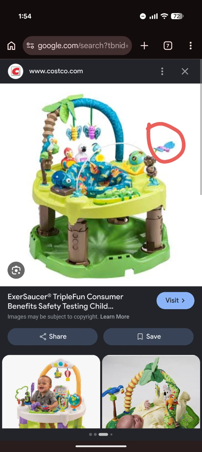 ExerSaucer TripleFun "Life in the Amazon" - photo 2