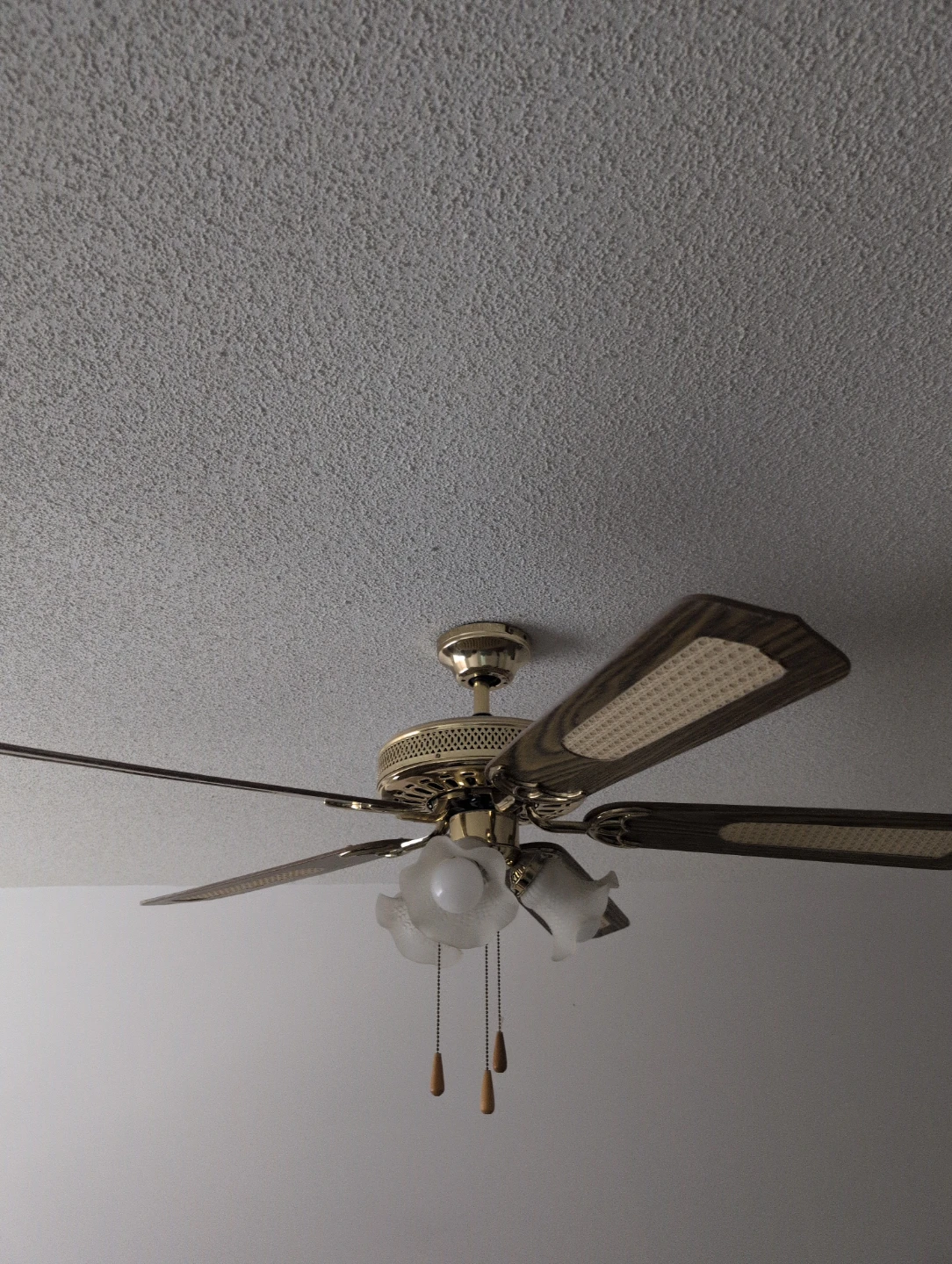 Ceiling Fan with Lights