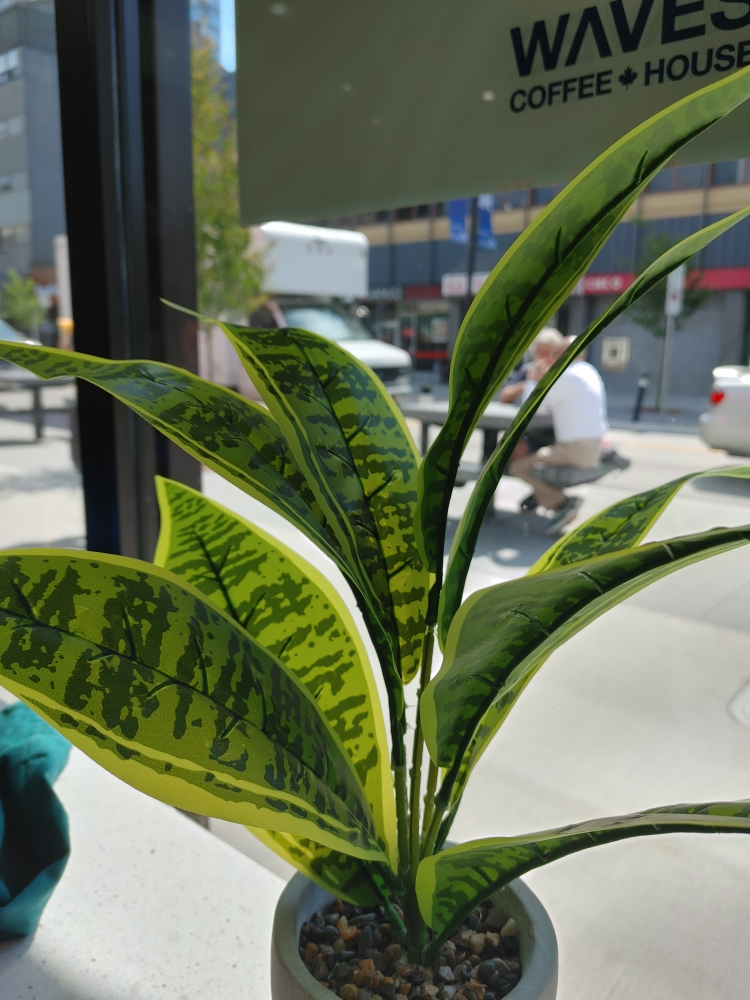 Artificial  Plant in Face Pot New - photo 4