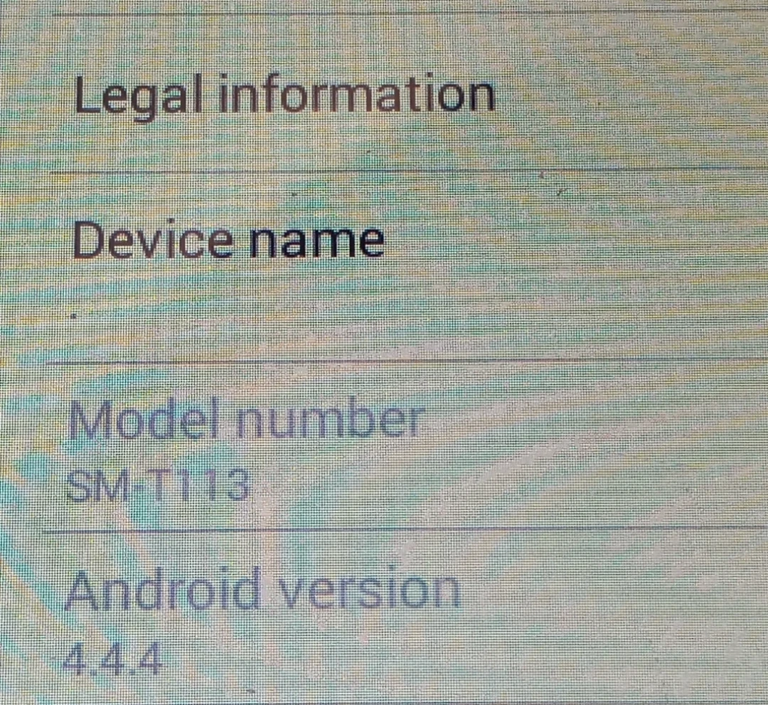 Samsung Galaxy Tab 3 Lite SM-T113 - photo 3