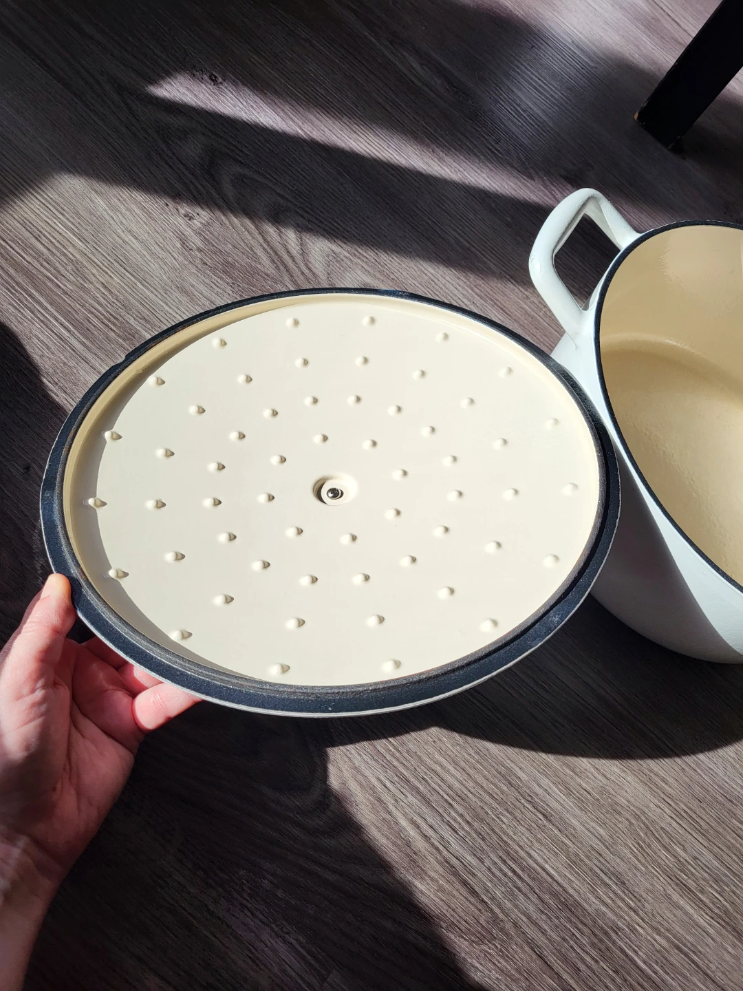 Beige Enamel Dutch Oven with Lid