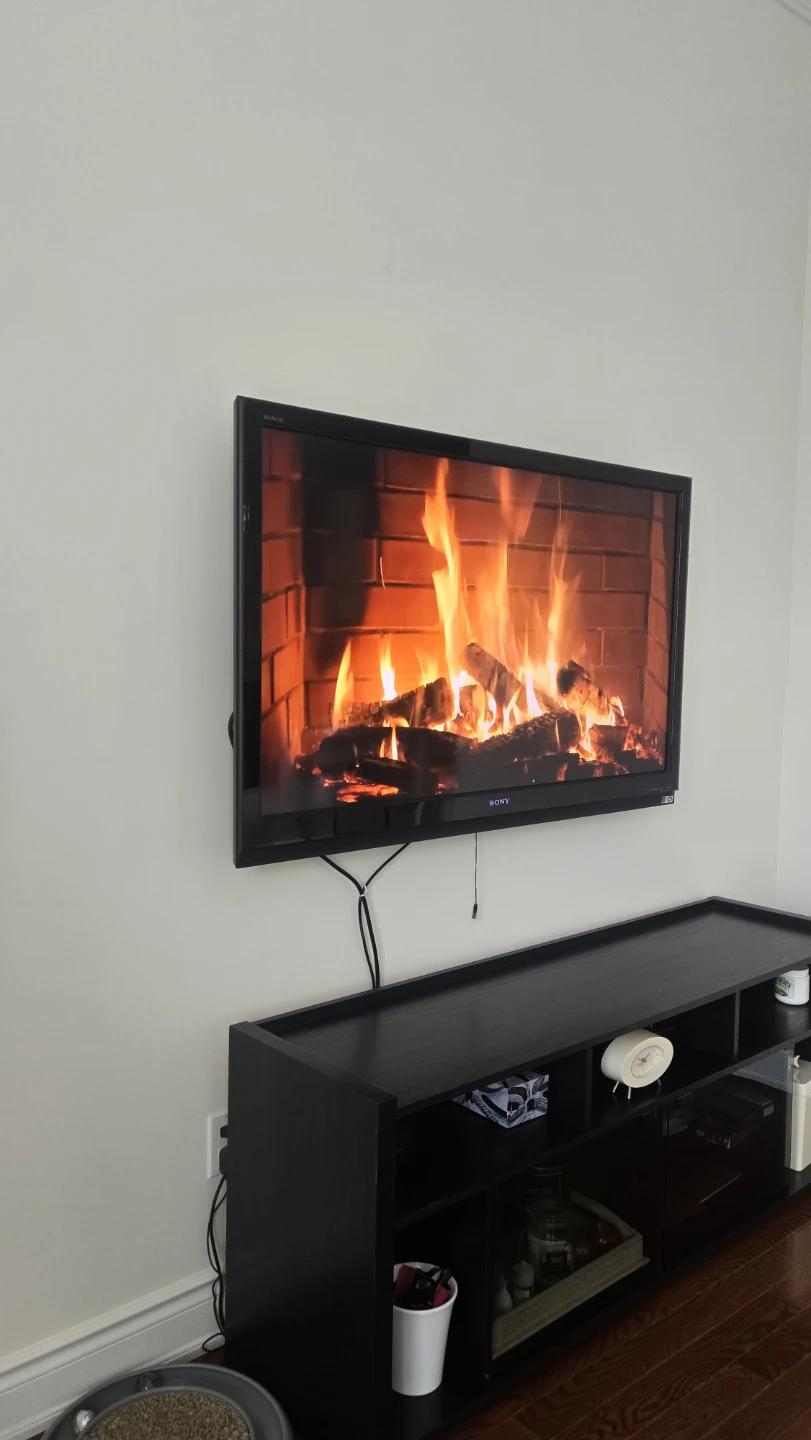 Sony Bravia Flat Screen TV