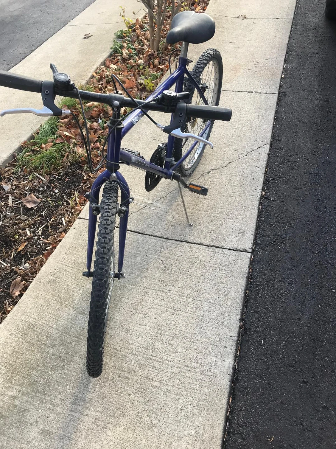 Purple Mountain Bike