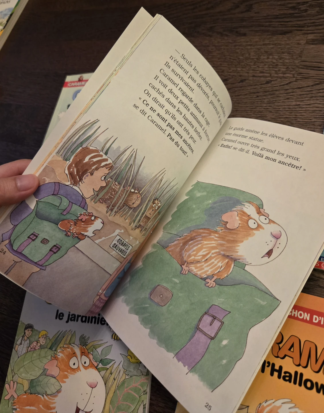 French Immersion Early Readers – Caramel 5 Books - photo 2