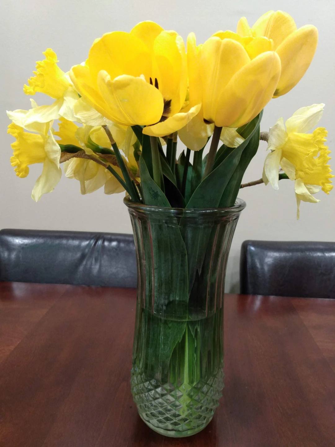 Yellow Tulip plants with Bulbs - photo 3