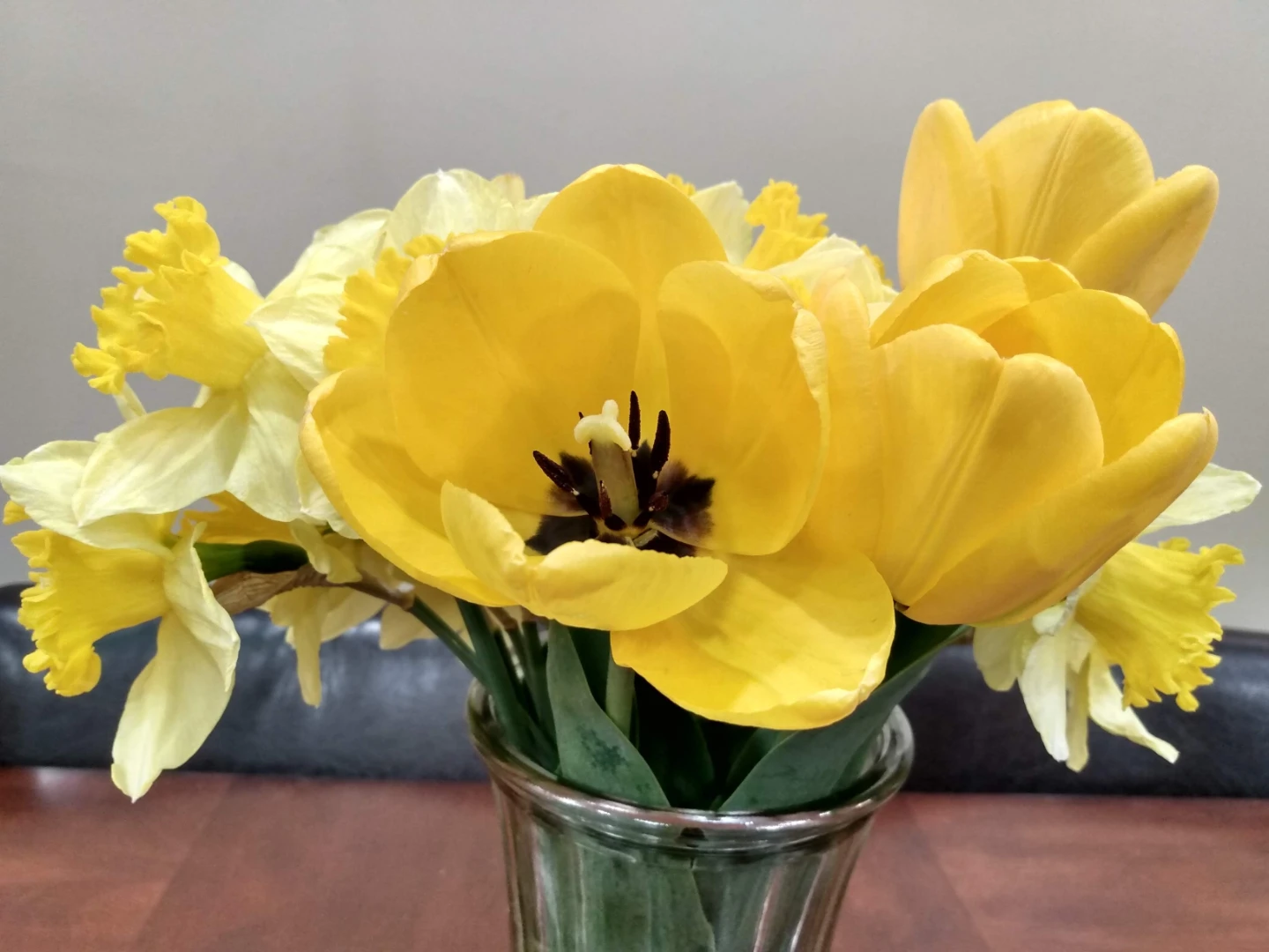 Yellow Tulip plants with Bulbs - photo 2