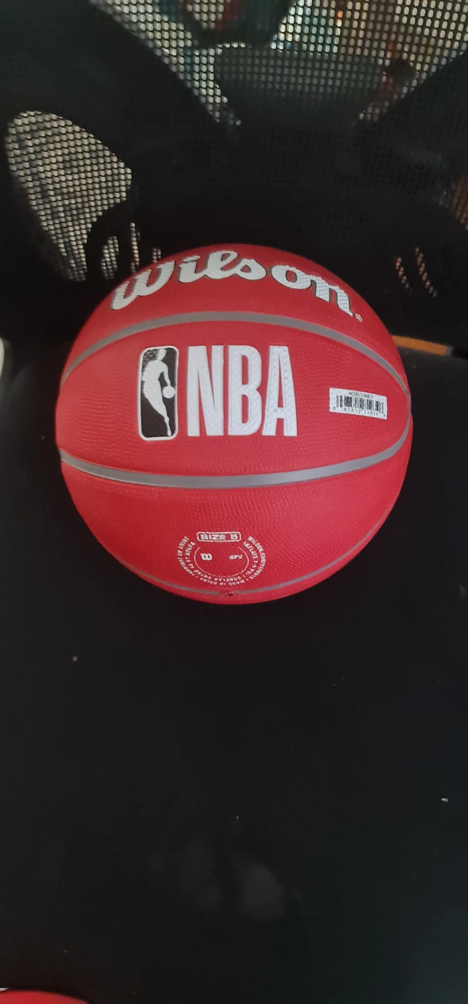 Wilson NBA Toronto Raptors Basketball