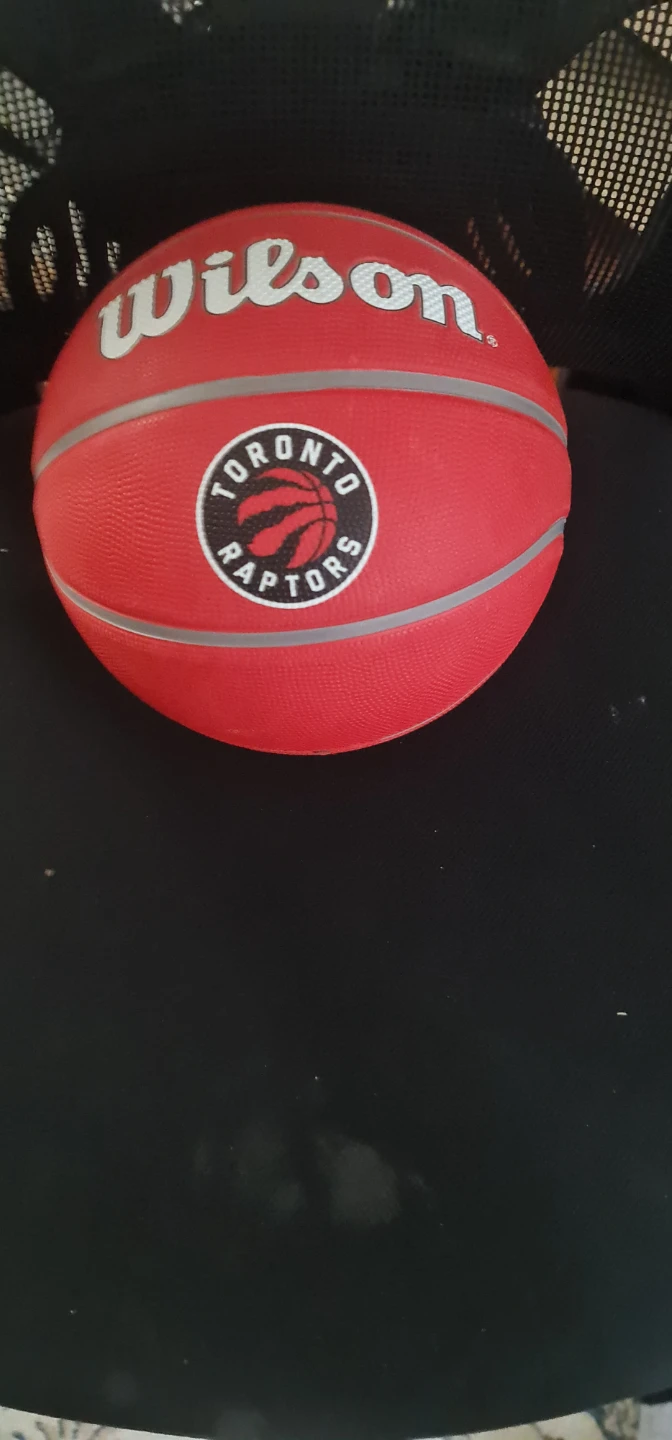 Wilson NBA Toronto Raptors Basketball - photo 2