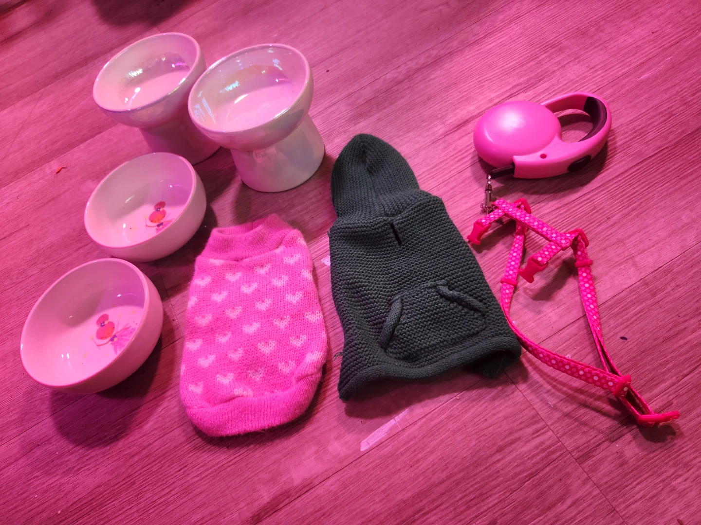 Pet Accessories Bundle: Bowls, Sweaters & Leash - photo 2