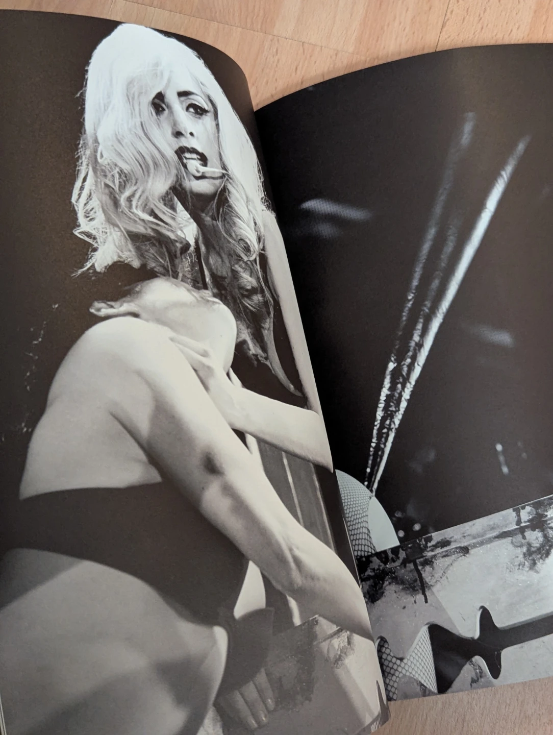 Lady Gaga The Monster Ball Tour Softcover Photo Concert Book - photo 4