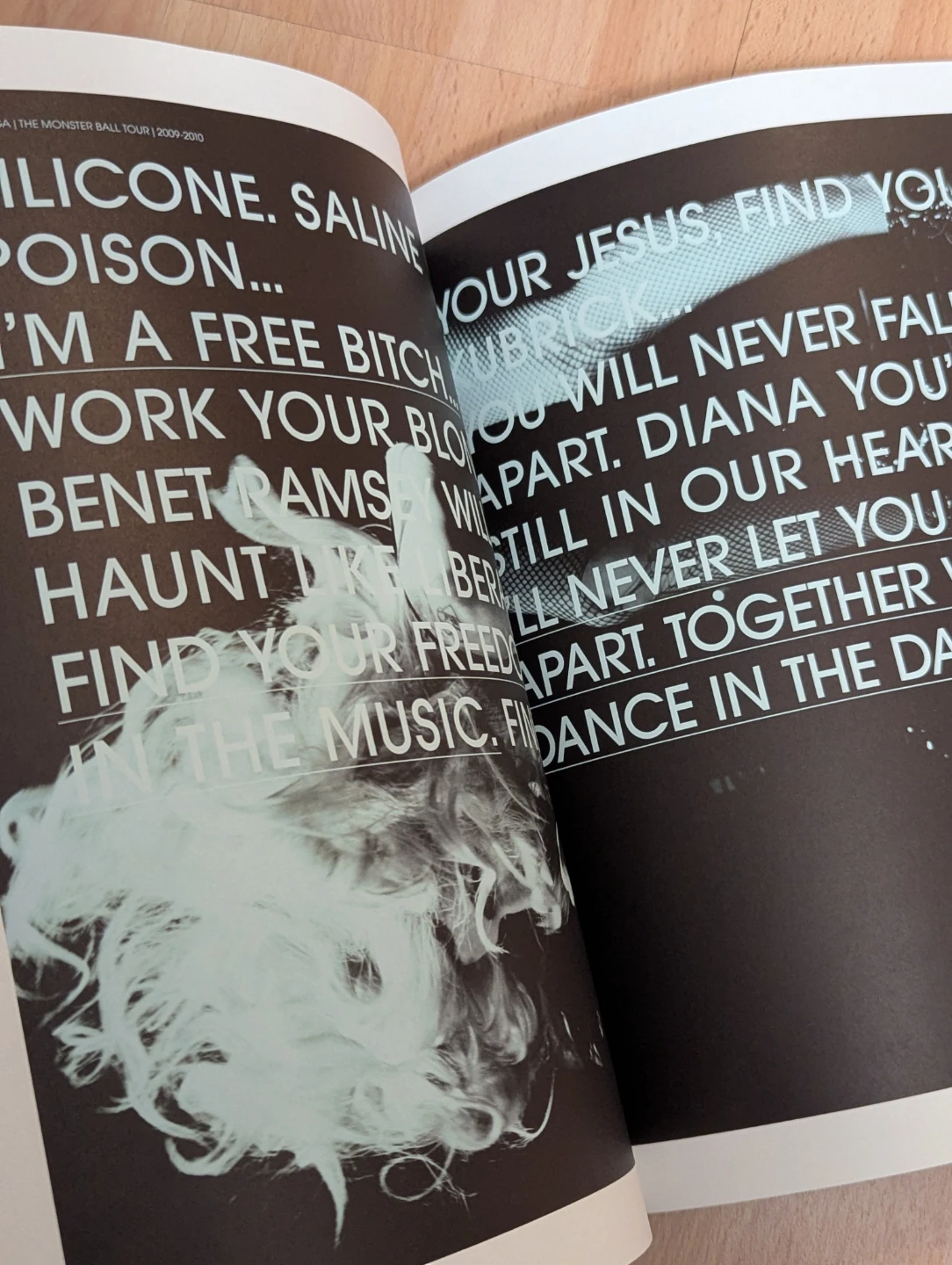 Lady Gaga The Monster Ball Tour Softcover Photo Concert Book - photo 5