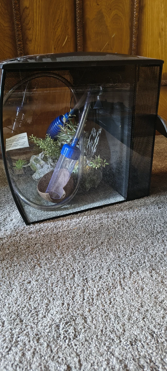 Small Terrarium/Aquarium with Accessories - photo 2