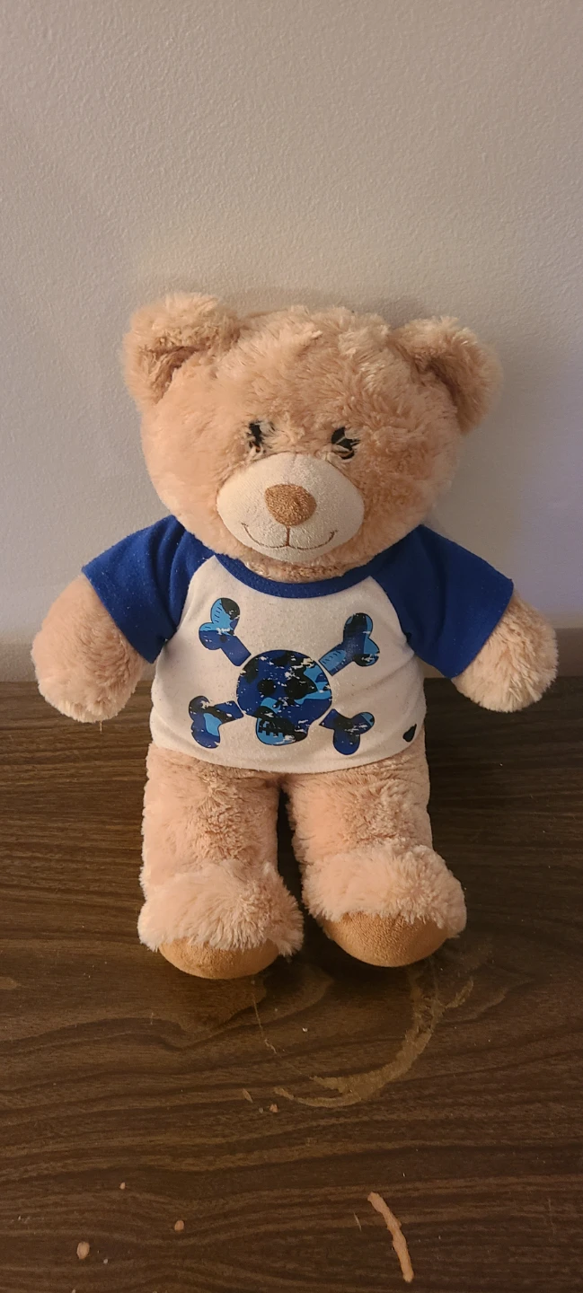 Build-A-Bear Lil Brownie Cub Teddy Bear 16" outfit skull cross
