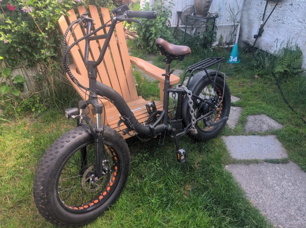 Rad Power Electric Bike - Foldable