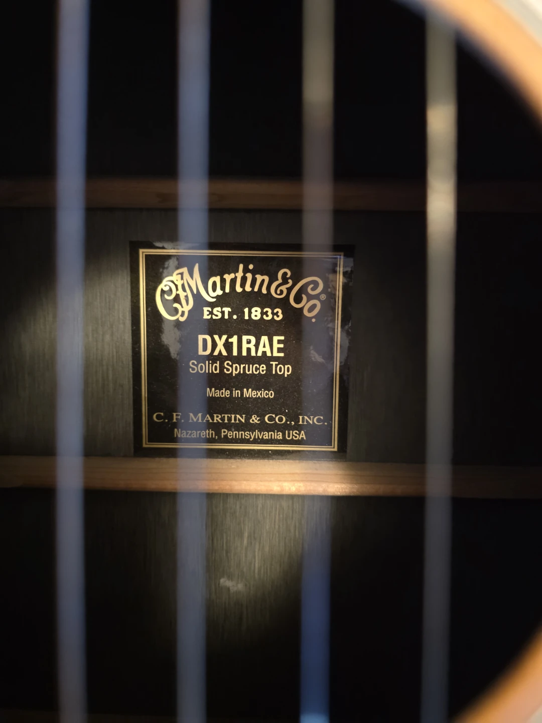 Martin DX1RAE Acoustic-Electric Guitar - photo 3