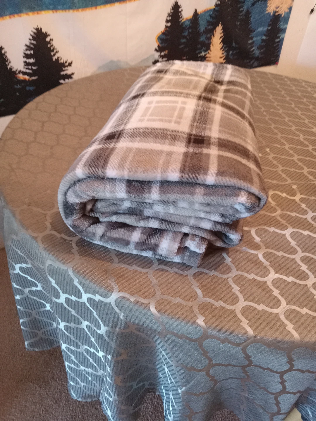 Plaid Fleece Blanket
