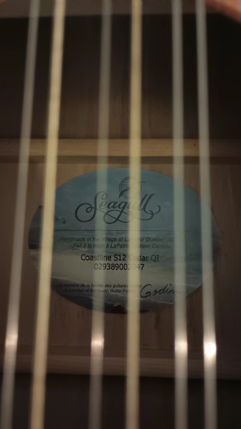 Seagull Coastline S12 Cedar Q1 12-String Acoustic Guitar - photo 3