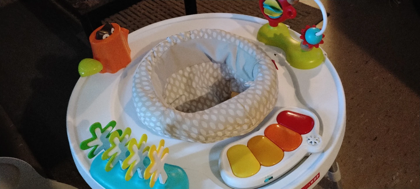 Skip Hop Baby Activity Center - photo 2