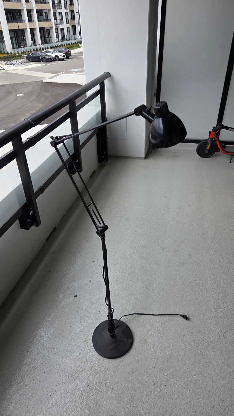 6ft Study lamp