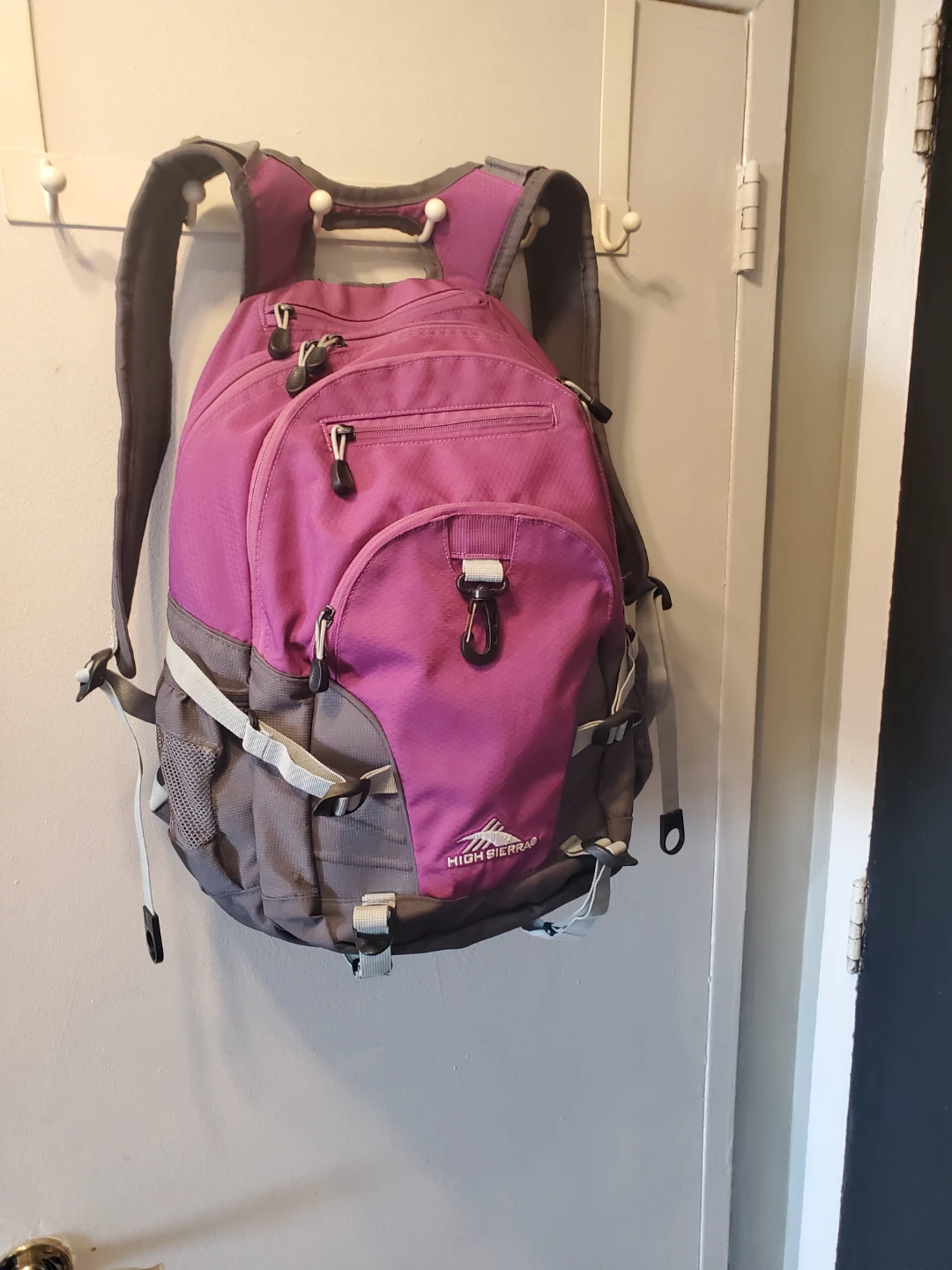 2 Laptop Backpack High Sierra