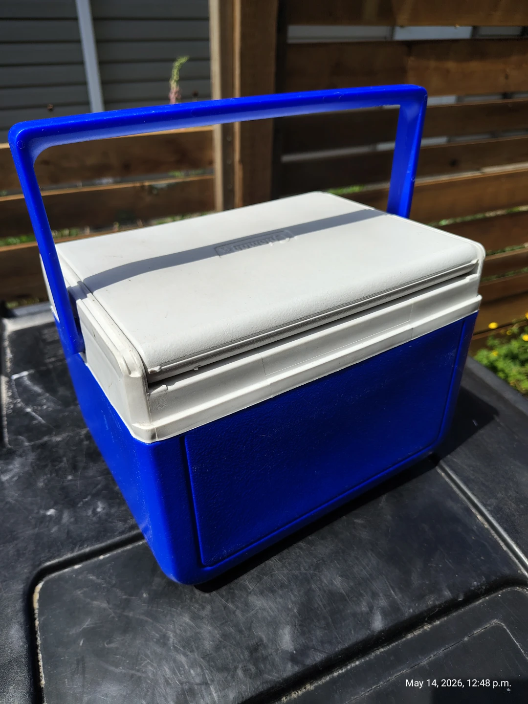 Coleman Lunch Cooler with  Cup Tray