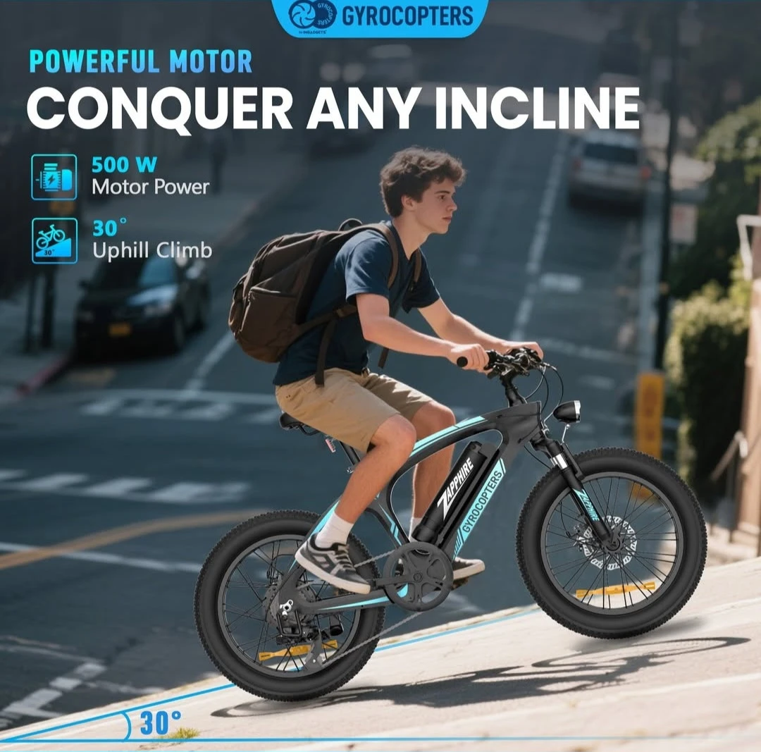 Electric bike - photo 2