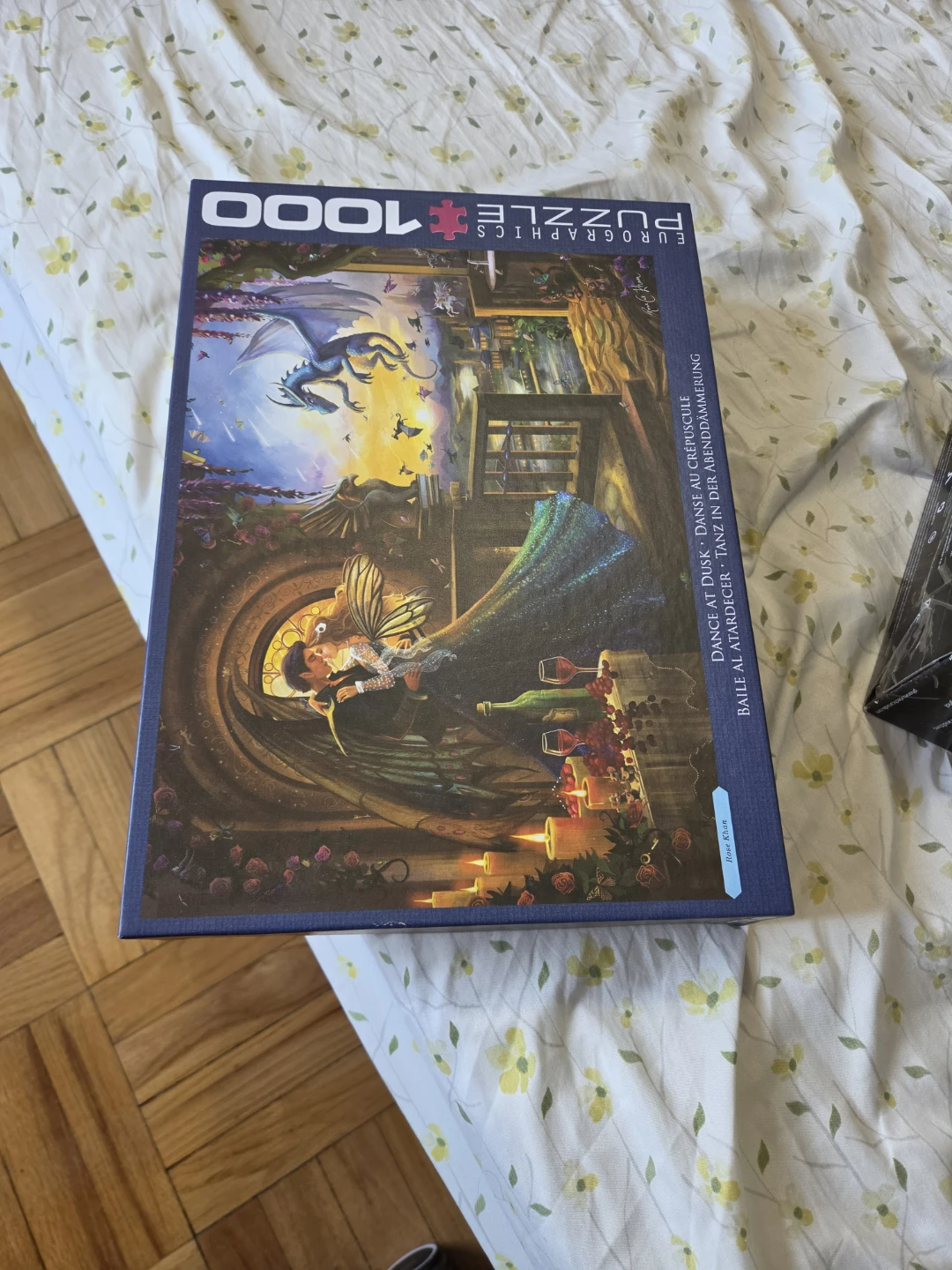 Moving sale - Eurographics 1000 Piece Puzzle