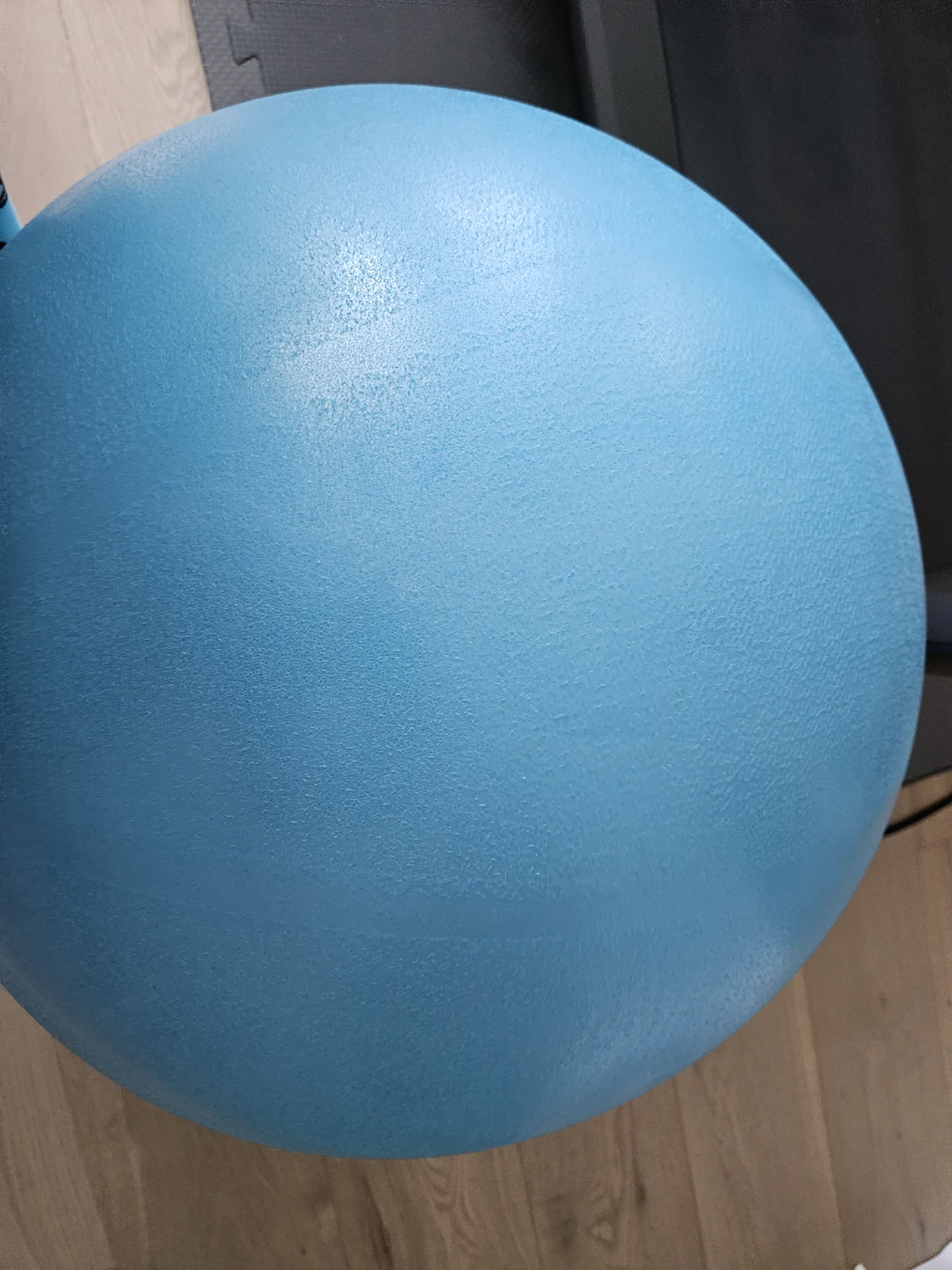 Blue Exercise Ball