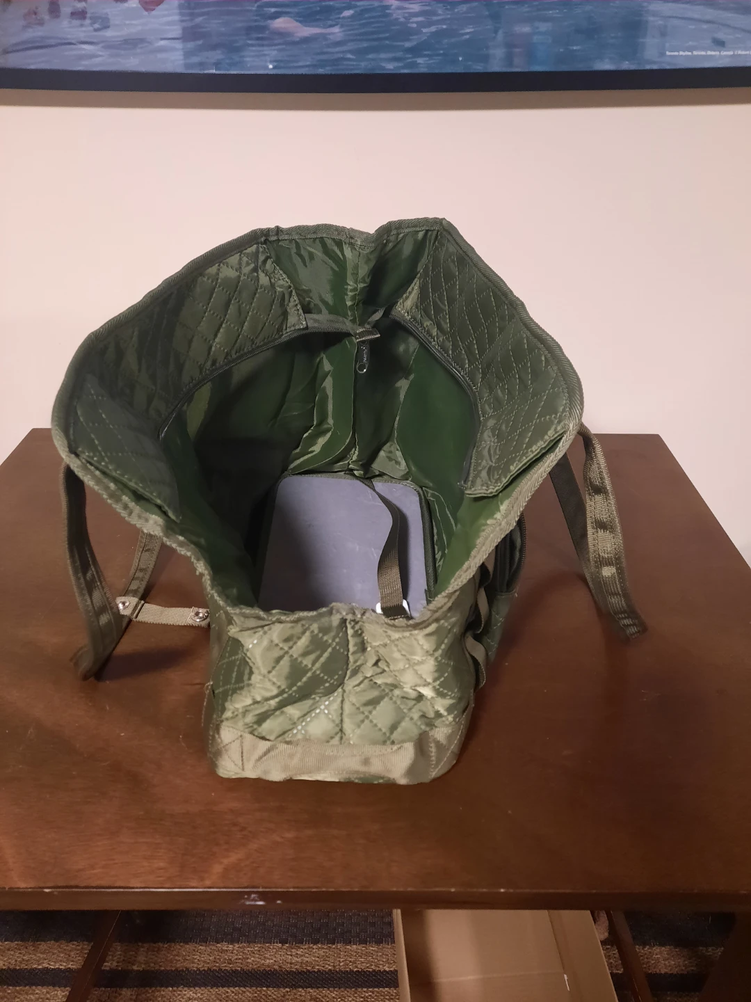 Green Quilted Dog carrier  bag - photo 2