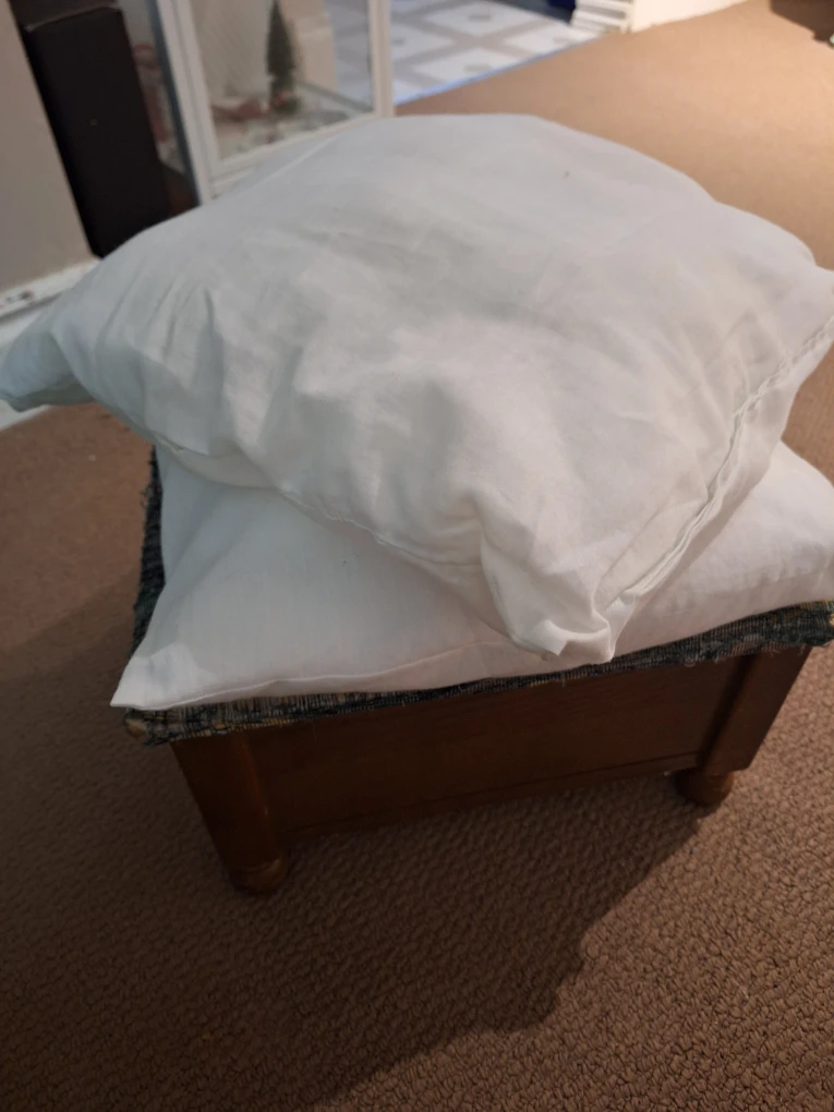 White Decorative Pillows(no covers) (Set of 2)